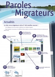 Icon of Paroles de Migrateurs n°12